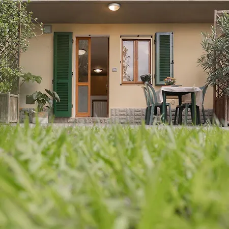 Lentisco By Elbasummer *