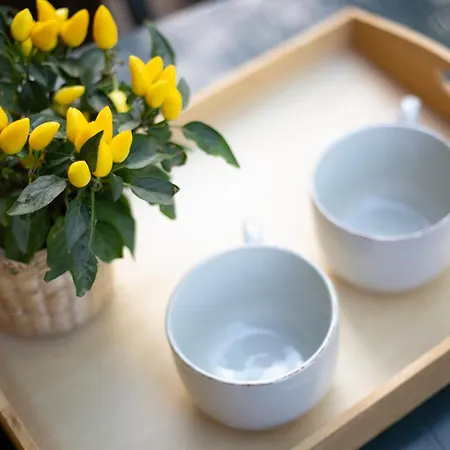 아파트 Lentisco By Elbasummer 마리나디캄포