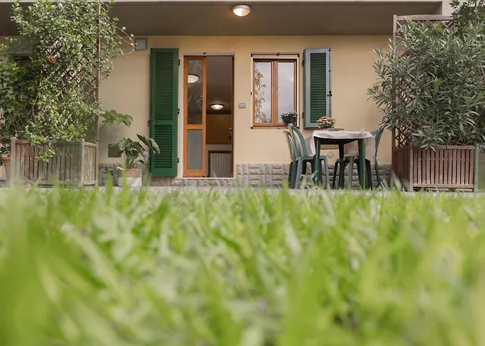 Lentisco By Elbasummer *