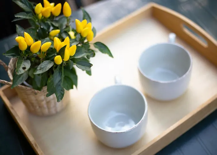 Appartement Lentisco By Elbasummer Marina di Campo