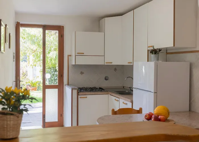 Lentisco By Elbasummer