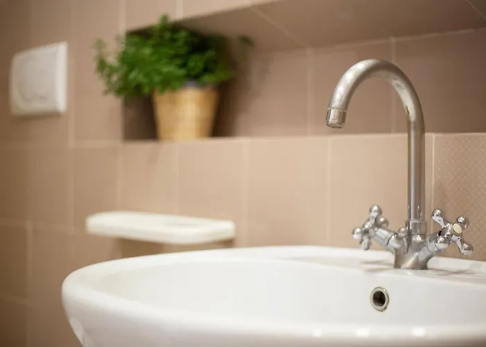 Lentisco By Elbasummer *