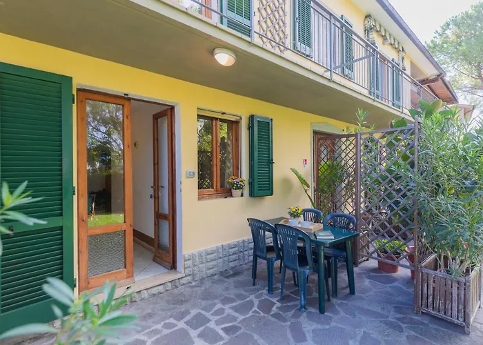 Lentisco By Elbasummer