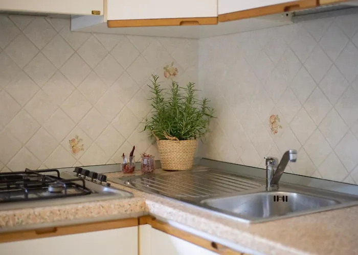 Lentisco By Elbasummer 마리나디캄포