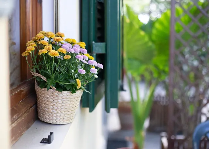 Appartement Lentisco By Elbasummer