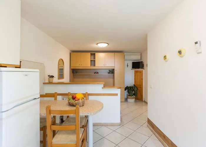 Lentisco By Elbasummer * 마리나디캄포