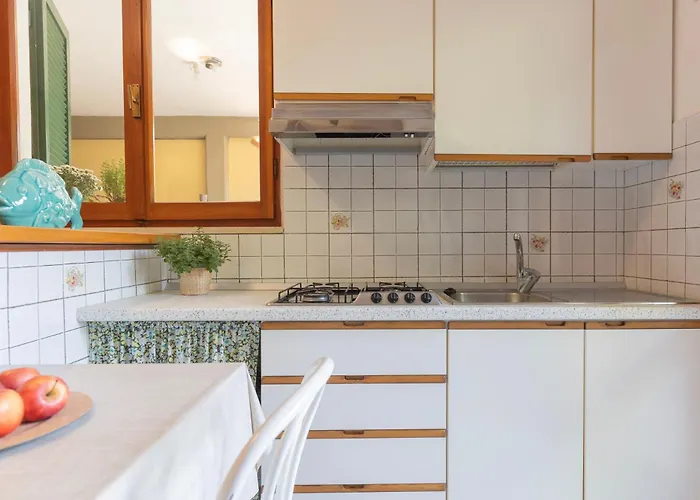 Lentisco By Elbasummer 마리나디캄포