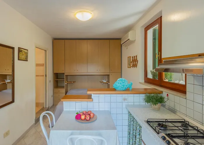 Lentisco By Elbasummer